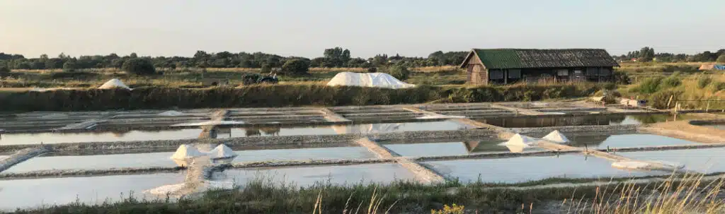 visite-les-salines-1-1024x303.jpg